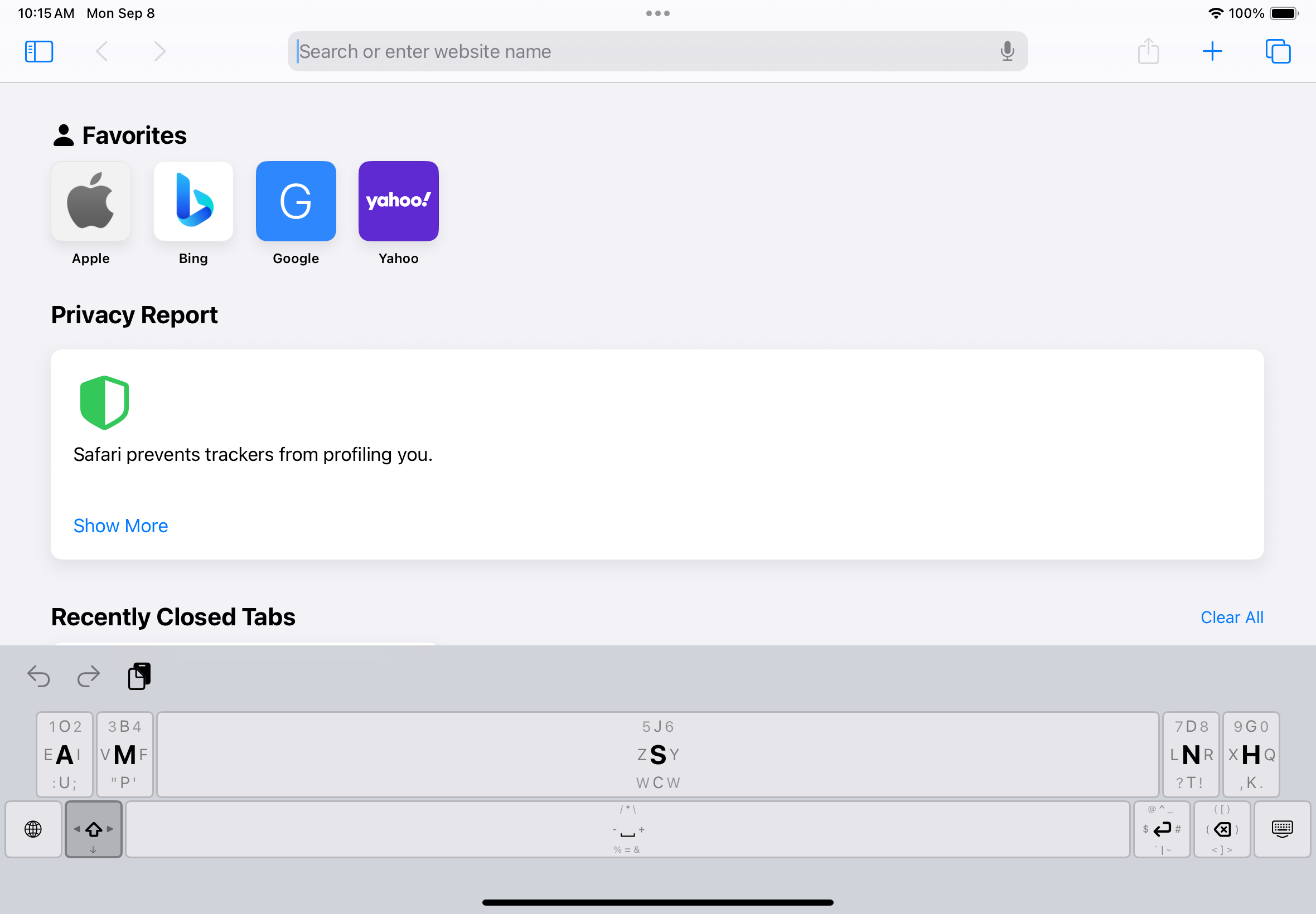 Big Thumb Keyboard on iPad